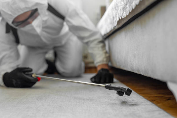 Professional Termite Control technician working in Duluth, MN