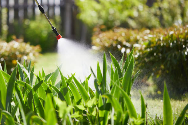 24/7 Emergency Termite Control experts in Duluth, MN