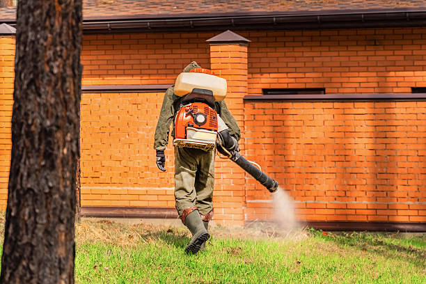 Top rated local Termite Control specialists in Duluth, MN